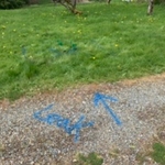 Leak located for a spot repair in grass