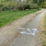 Area additionally marked for 811 locates prior to digging