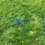 Leak pinpointed for a spot repair