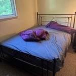 Queen bed frame assembly