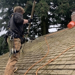 Roof Moss Removal & Treatment and Gutter Service