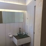 Custom handicap bathroom with oval floor level shower in an old house with custom built pocket doors and barn board walls