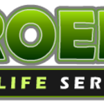 Groen's Wildlife Services