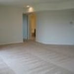 Clean Carpet!
