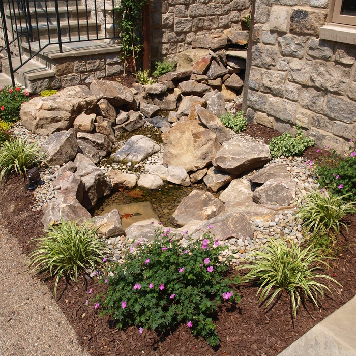 Additional Photos