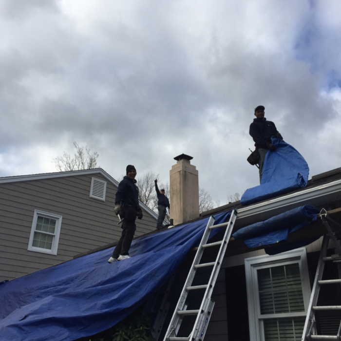 Additional Photos