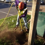 Risk Tree Service has successfully helped the city of New Orleans to keep the street lights working while protecting our city's live oaks. We provide all tree trimming around street lights and do all excavation under tree canopies with a method called Air Excavation. Risk Tree Service has maintained this contract for the last 3 years successfully and looks forward to many more years.