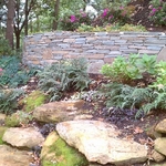 Landscape/Hardscape Design