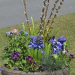 Potted Flower Arrangement