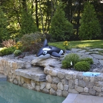 Pool and Stone Work