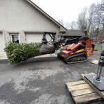 Tree Service Project