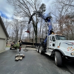 Tree Service Project