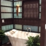 Lutron Automated Shades (Serena)