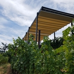Retractable pergola roof