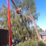 Additional Photos