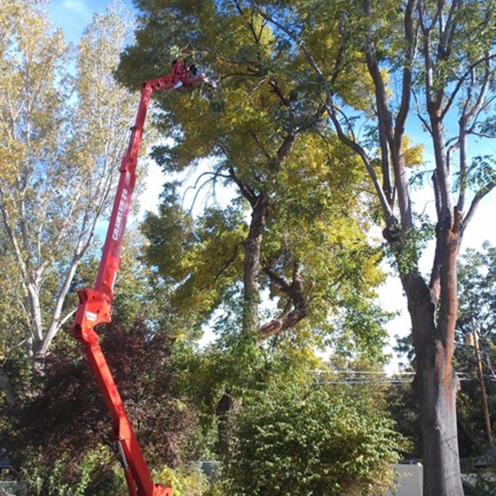 Additional Photos