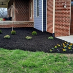 Landscaping Project