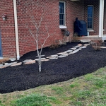 Landscaping Project