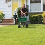 FERTILIZING