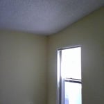 White Ceilings And Colored Walls