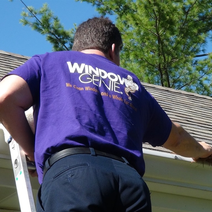 Gutter Clean-Out