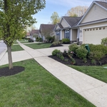 Landscaping Project