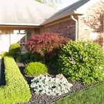 Landscaping Project