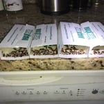 German Cockroaches Treatment