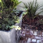 Side courtyard