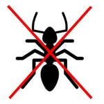 Termite Inspection