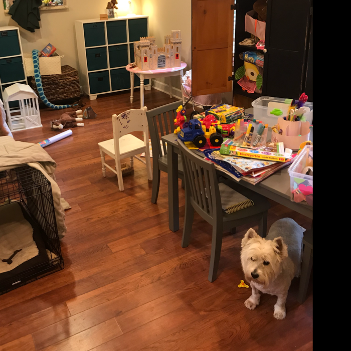 Additional Photos