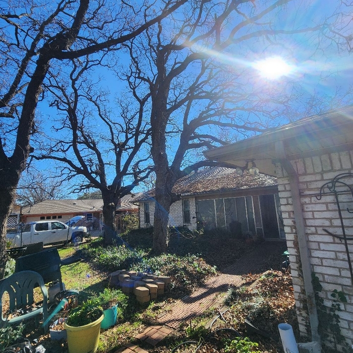 Additional Photos