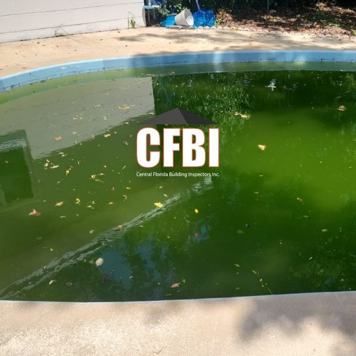 Pool party anyone?! ?