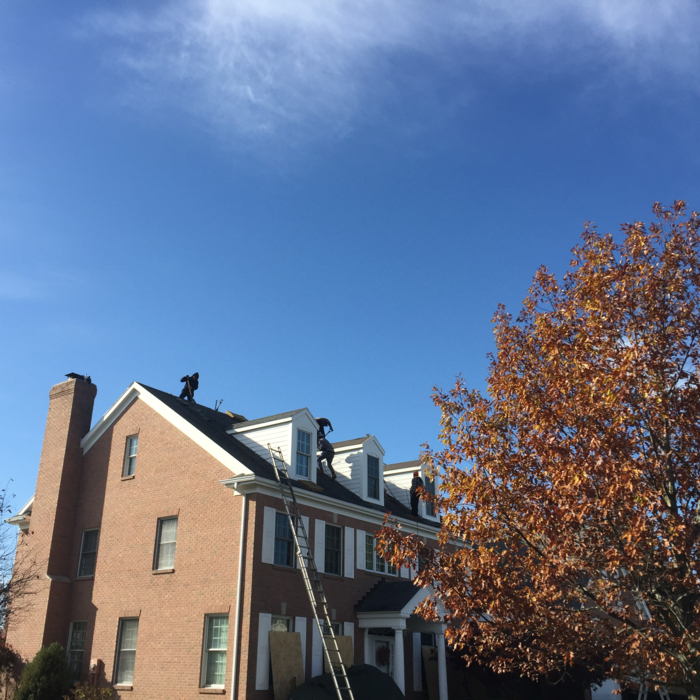 Blue sky and sunshine!