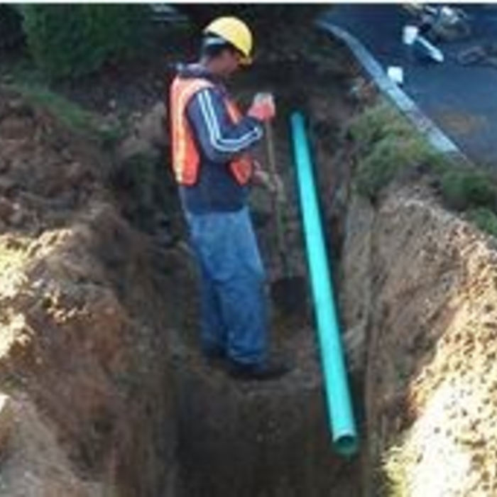 Ditch
