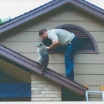 Raccoon Removal