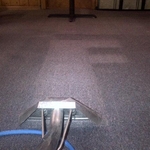 Carpet Cleaning