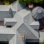 GeeGee Nelson - Featured Review