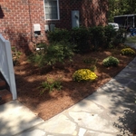 New pathway and landscaping