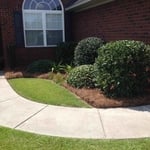 Trim shrubs and new pine straw.