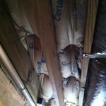 The Before