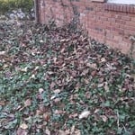 Flower Bed Before