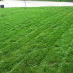 Final Product