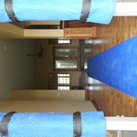Door guards/ Floor runners