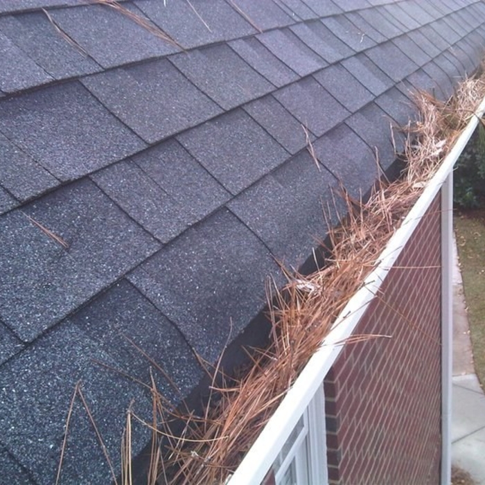 If gutters are clogged in the winter it can allow water to seep under your shingles and cause roof/attic/sheetrock water damage.