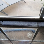 Black water = mold and mildew