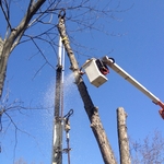 crane/bucket