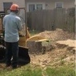 Stump grinding