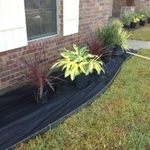Weed Barrier