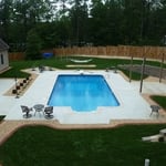 southern pines beauty